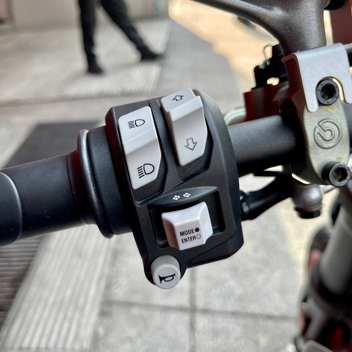 SEMINUEVA Ducati Monster Plus