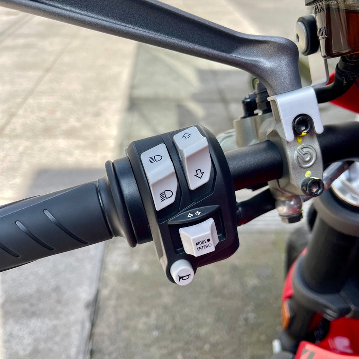 SEMINUEVA Ducati Monster Plus