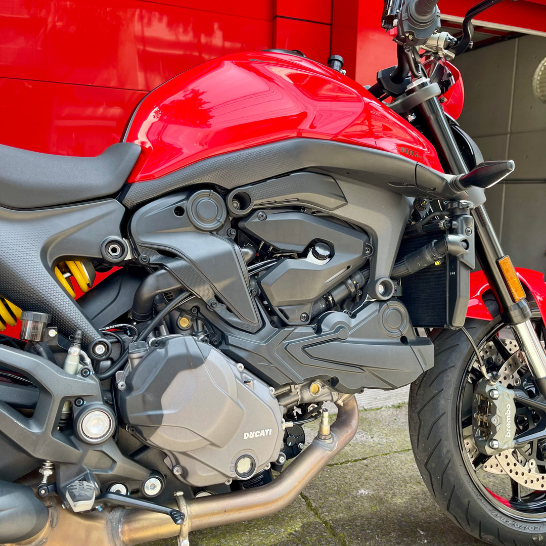 SEMINUEVA Ducati Monster Plus