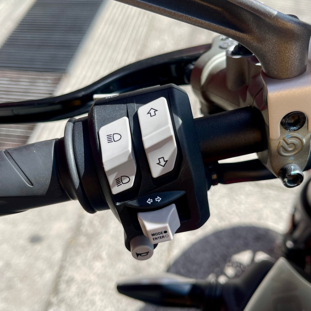 SEMINUEVA Ducati Monster Plus