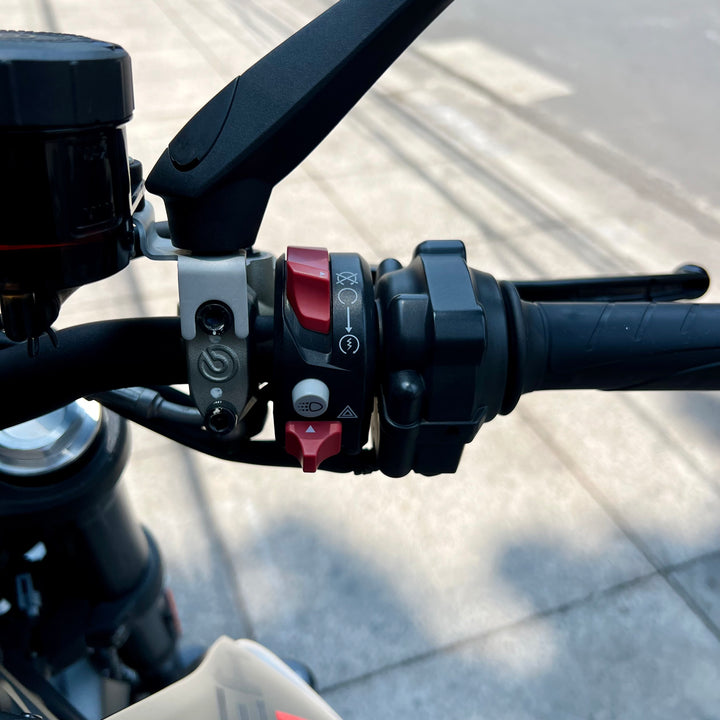 SEMINUEVA Ducati Monster Plus
