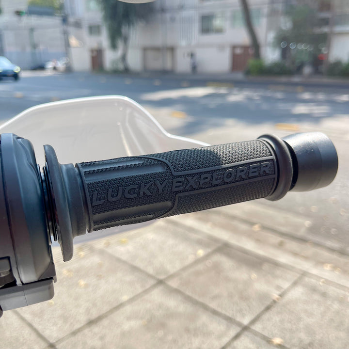 SEMINUEVA MV AGUSTA LXP ORIOLI   #17/500