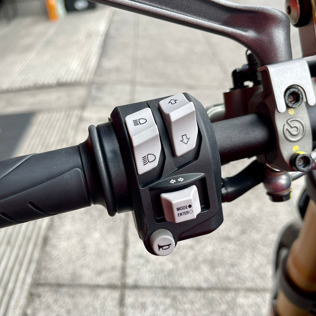 SEMINUEVA Ducati Monster SP